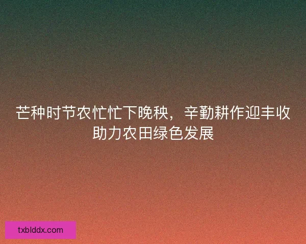 芒种时节农忙忙下晚秧，辛勤耕作迎丰收助力农田绿色发展