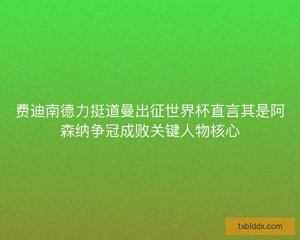 费迪南德力挺道曼出征世界杯直言其是阿森纳争冠成败关键人物核心