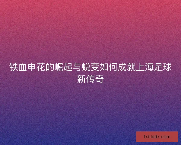 铁血申花的崛起与蜕变如何成就上海足球新传奇